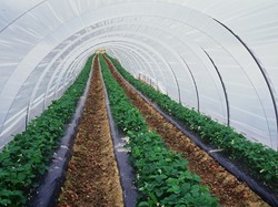 Tunnelfolie