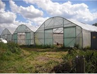 Tunnelfolie EVA AC 0,18 mm - 6,5 meter breed - per m2
