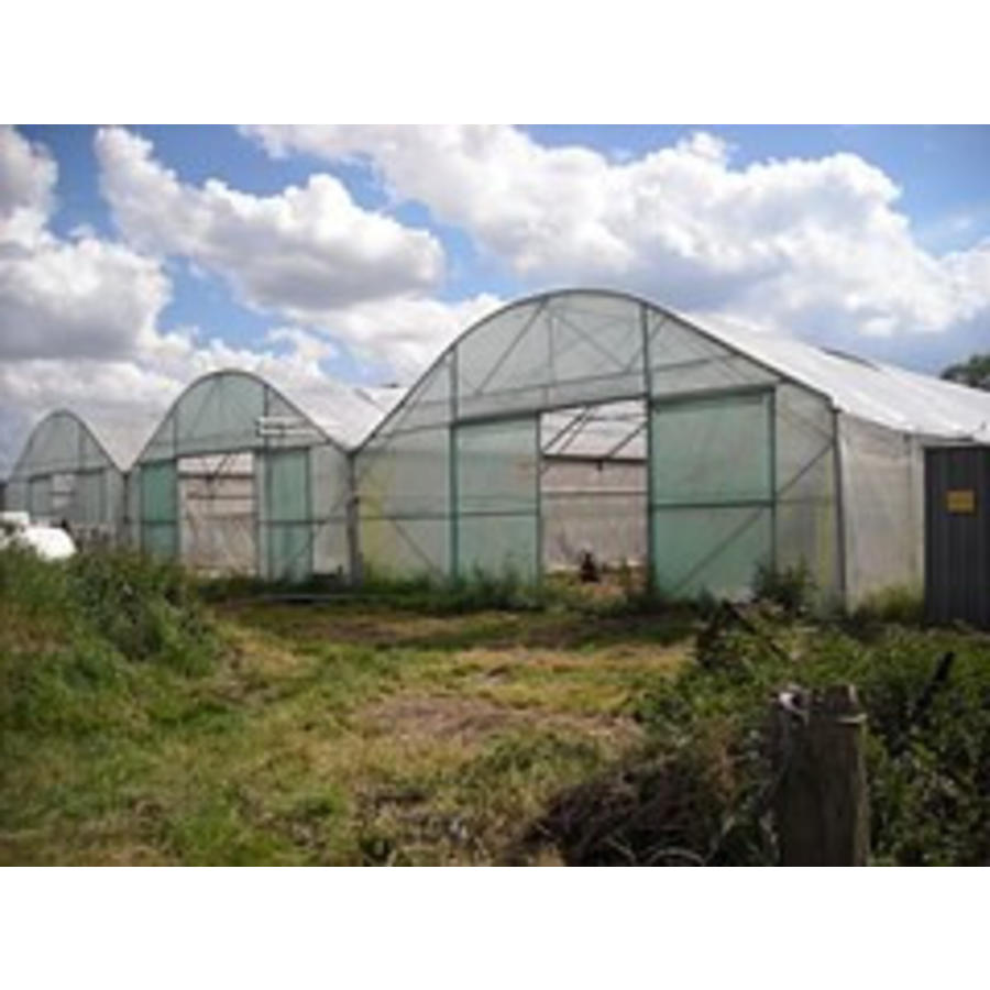 Tunnelfolie EVA AC 0,18 mm - 10 meter breed x per m2